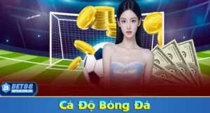 Cá độ bóng đá online